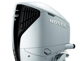 26YM BF 250 DK1 DWB NHB14 aws 01