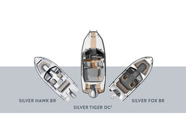 Silver Skipperi